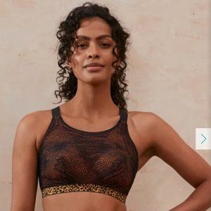 Venus Sports Bra